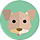 Tikus